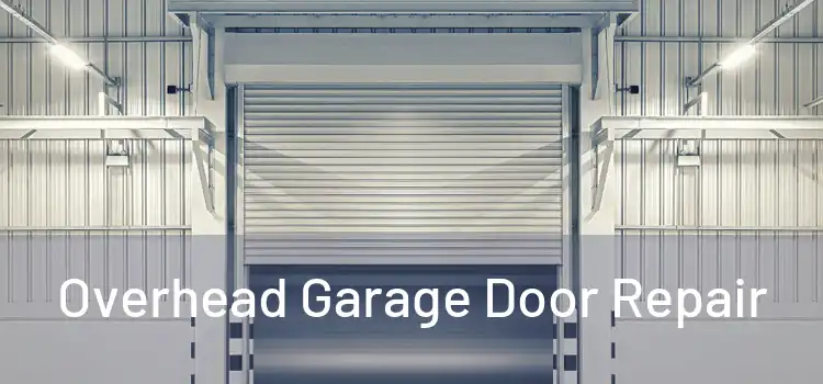  Overhead Garage Door Repair 